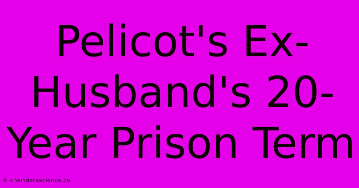 Pelicot's Ex-Husband's 20-Year Prison Term