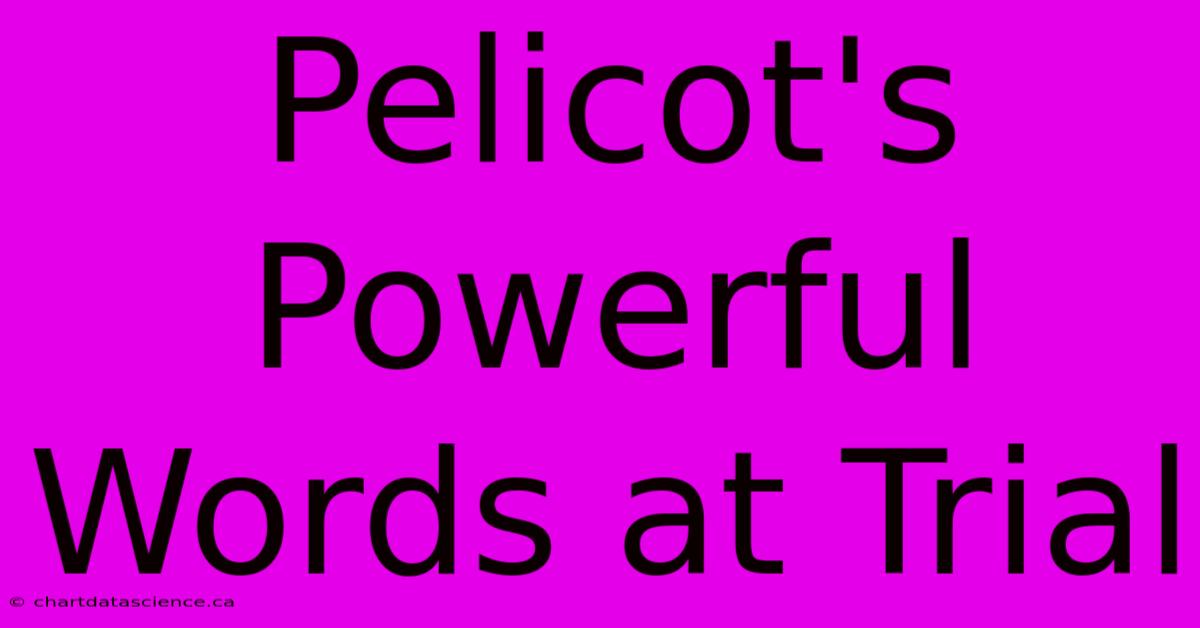 Pelicot's Powerful Words At Trial