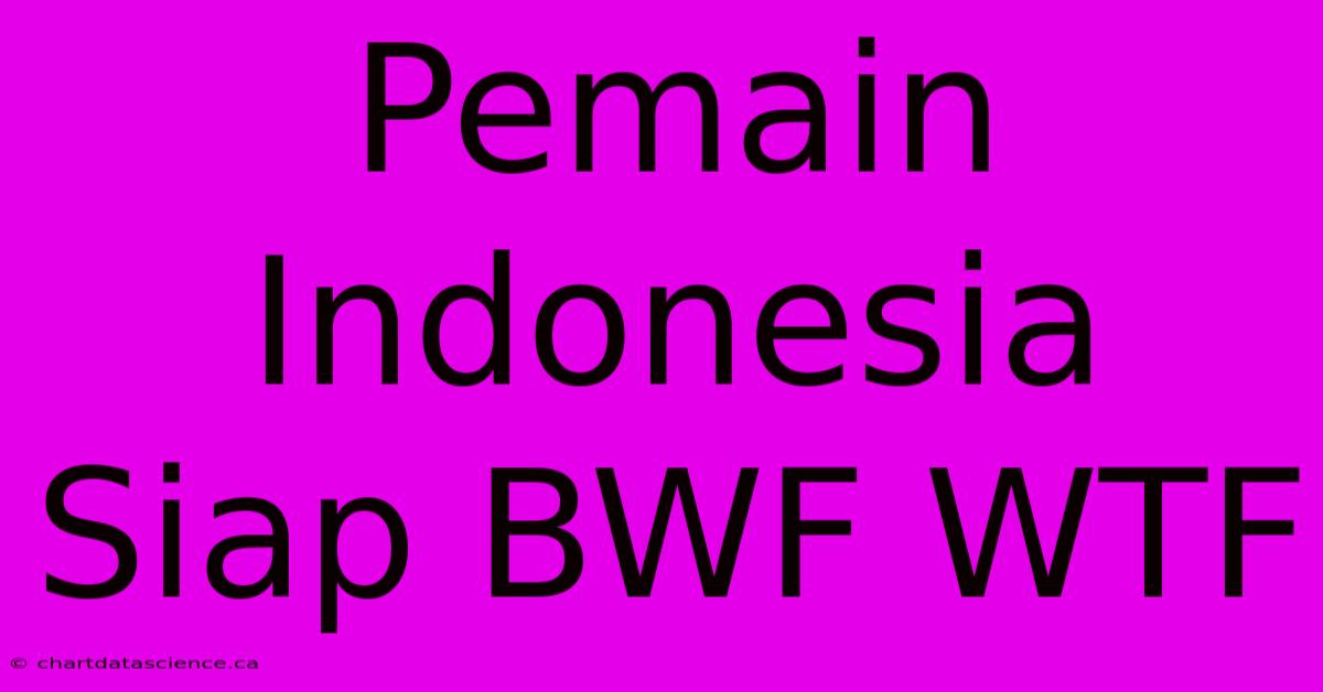 Pemain Indonesia Siap BWF WTF