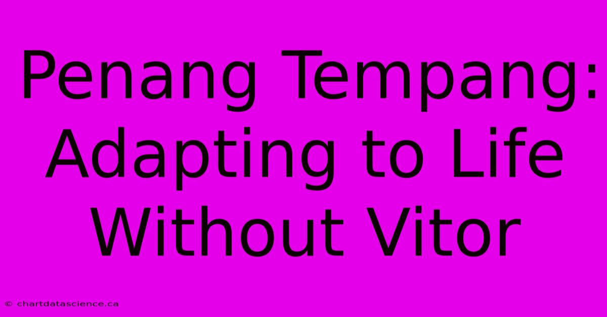 Penang Tempang: Adapting To Life Without Vitor