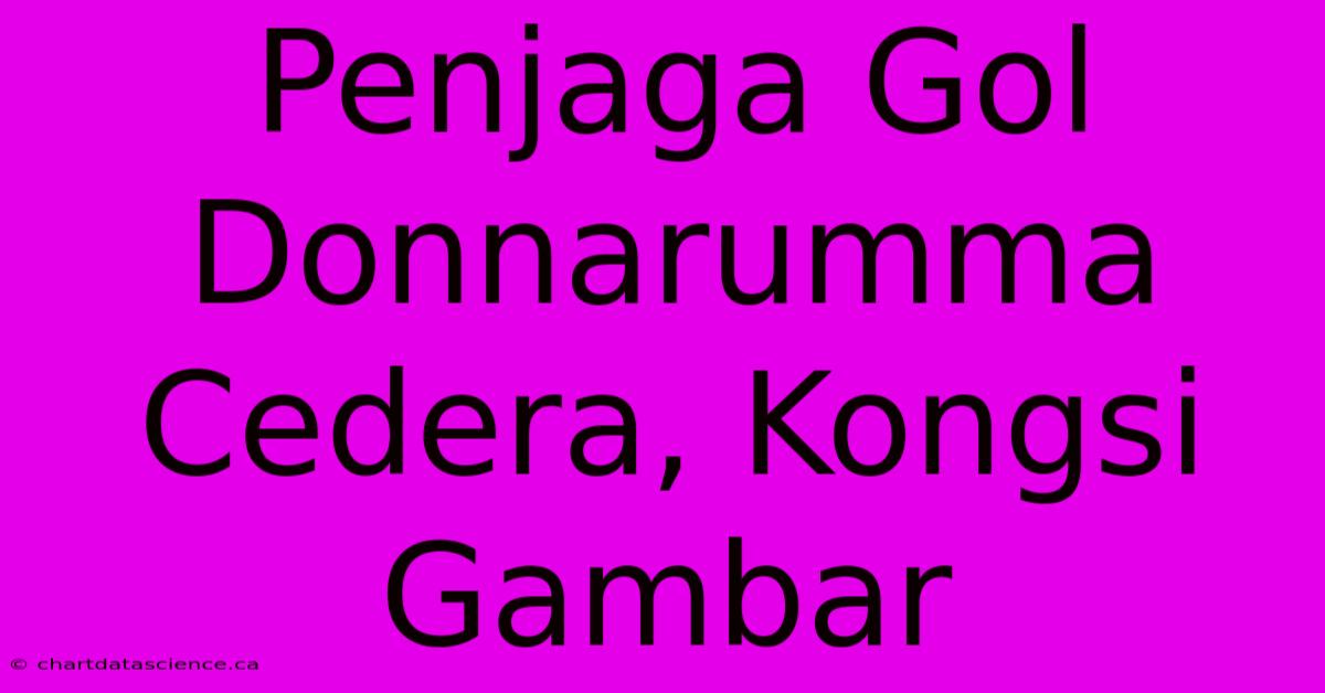 Penjaga Gol Donnarumma Cedera, Kongsi Gambar