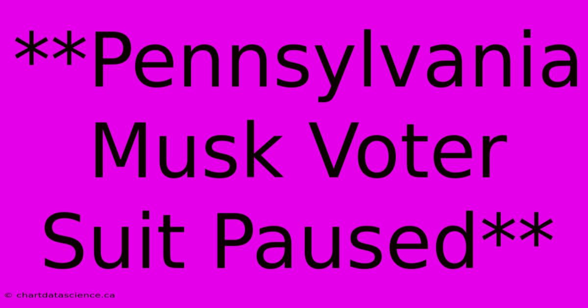 **Pennsylvania Musk Voter Suit Paused**