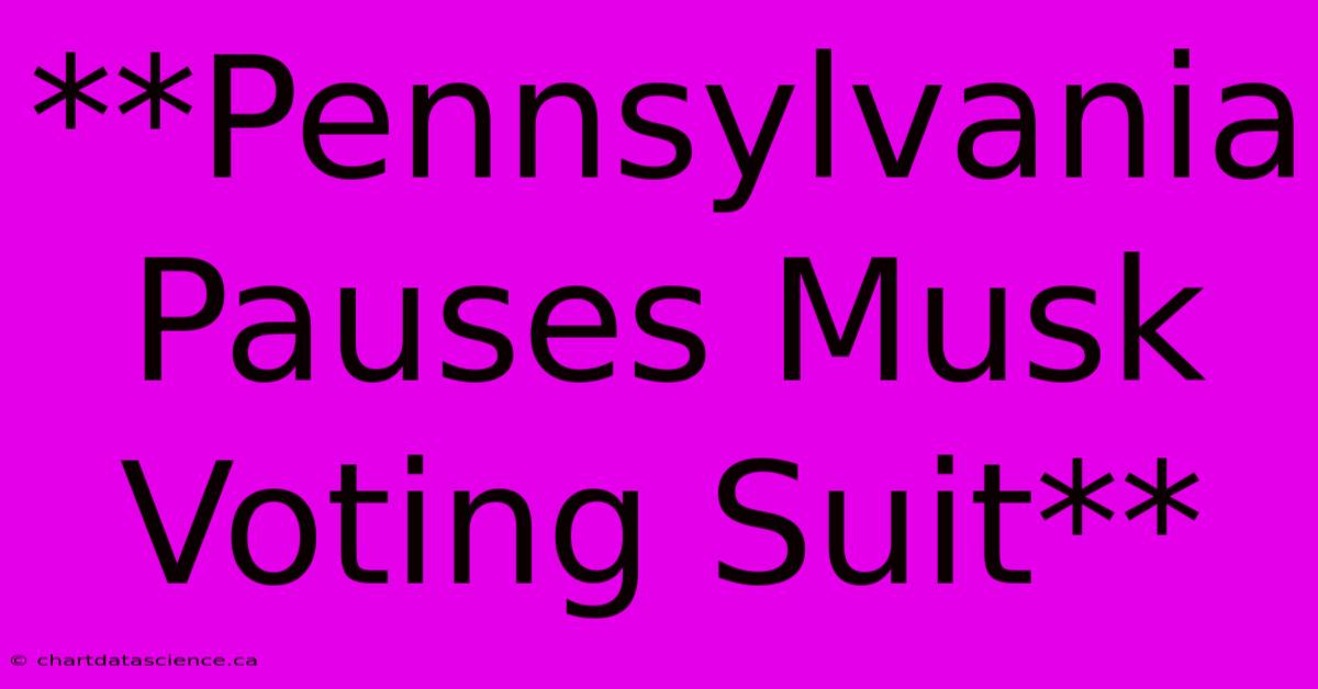 **Pennsylvania Pauses Musk Voting Suit**