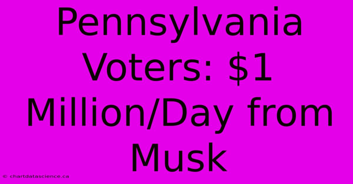 Pennsylvania Voters: $1 Million/Day From Musk