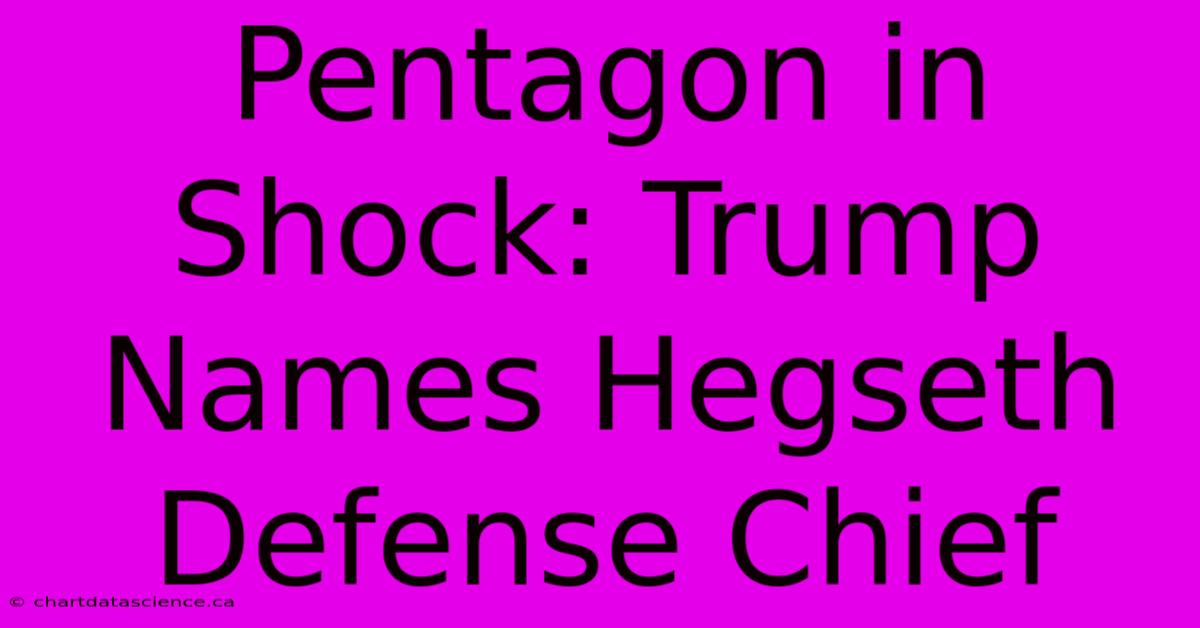 Pentagon In Shock: Trump Names Hegseth Defense Chief