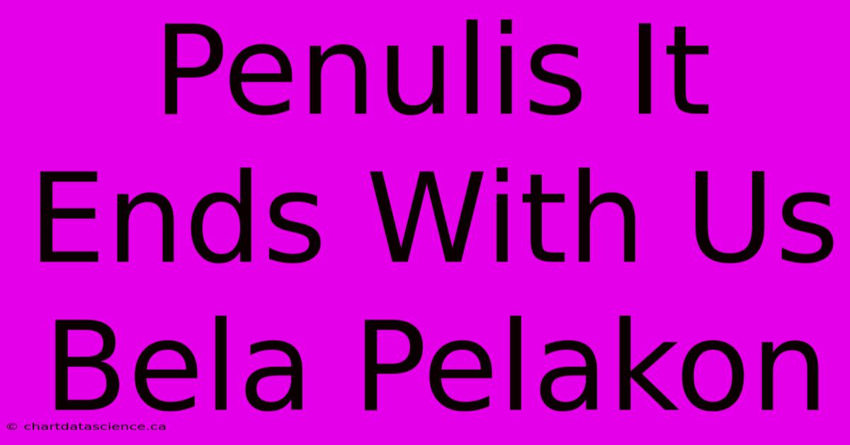 Penulis It Ends With Us Bela Pelakon