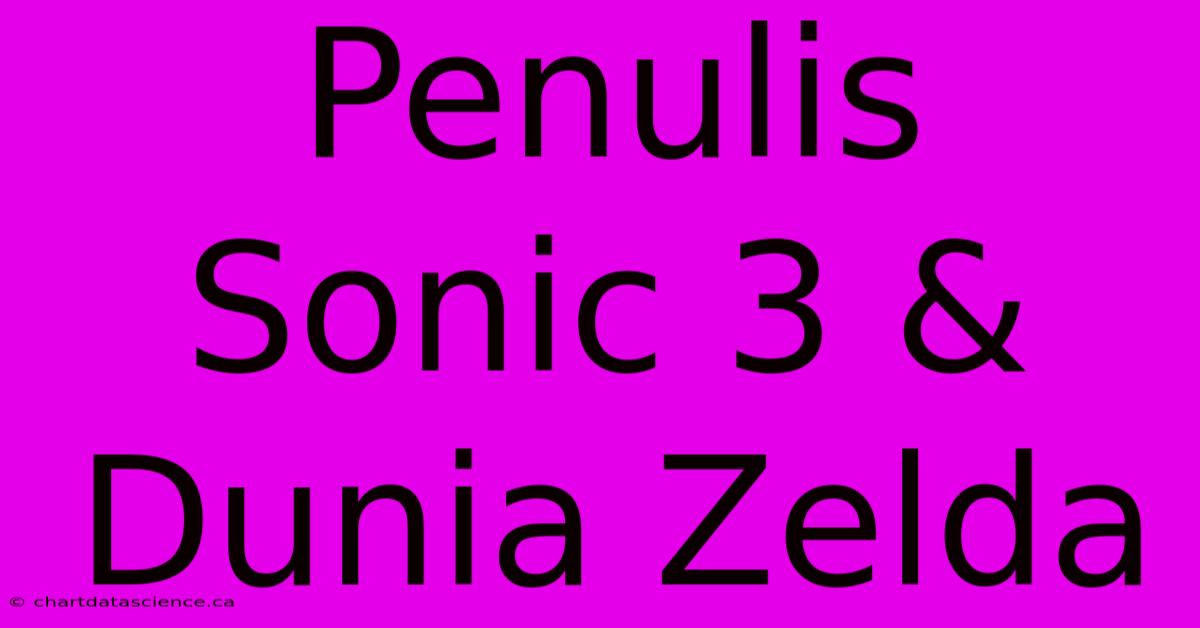 Penulis Sonic 3 & Dunia Zelda