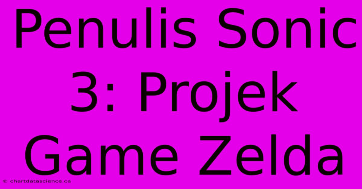 Penulis Sonic 3: Projek Game Zelda