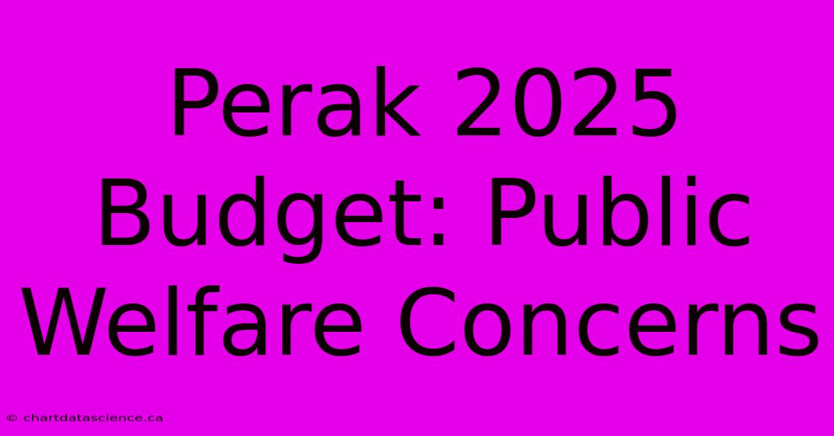 Perak 2025 Budget: Public Welfare Concerns