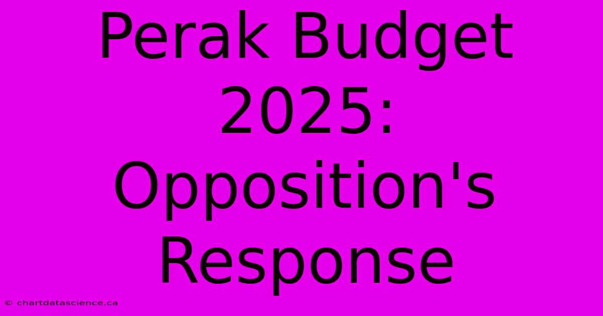 Perak Budget 2025: Opposition's Response