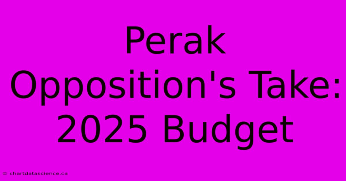 Perak Opposition's Take: 2025 Budget