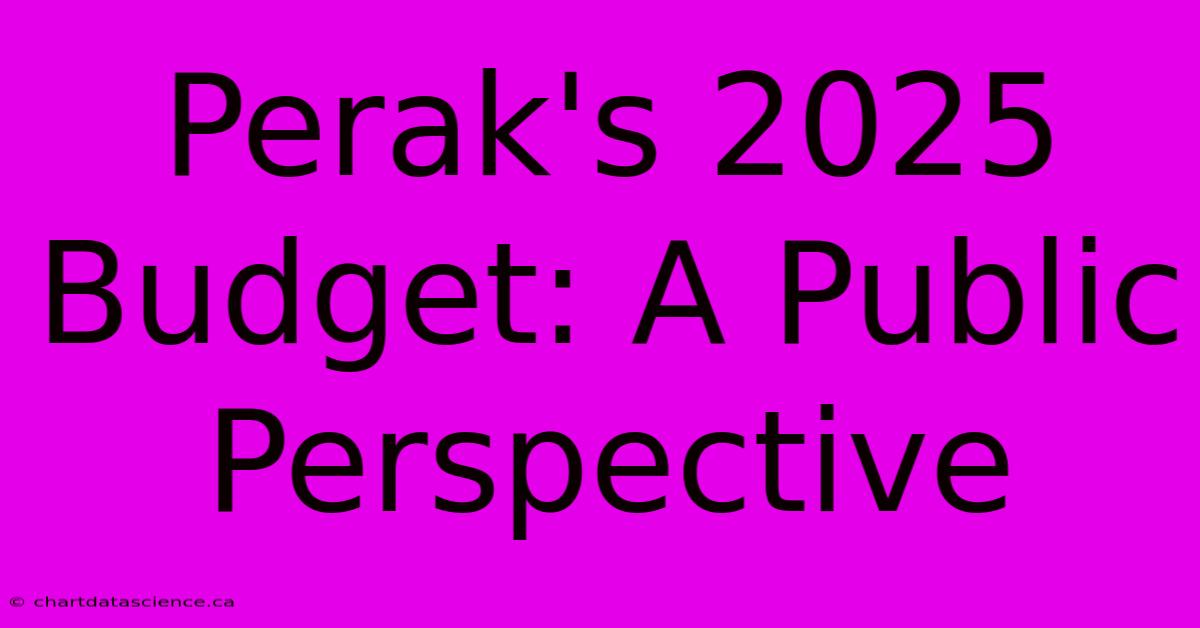 Perak's 2025 Budget: A Public Perspective