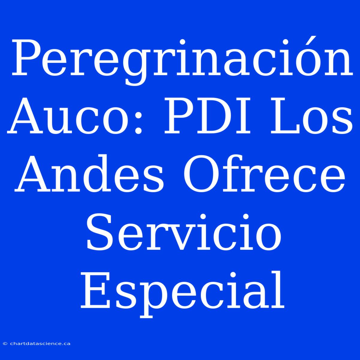 Peregrinación Auco: PDI Los Andes Ofrece Servicio Especial