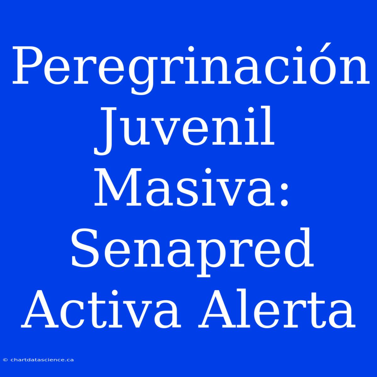 Peregrinación Juvenil Masiva: Senapred Activa Alerta