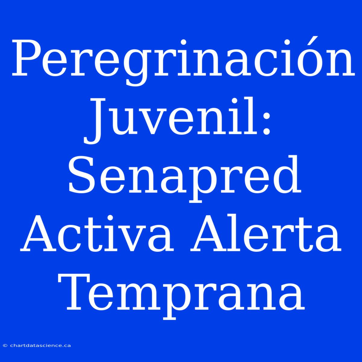 Peregrinación Juvenil: Senapred Activa Alerta Temprana