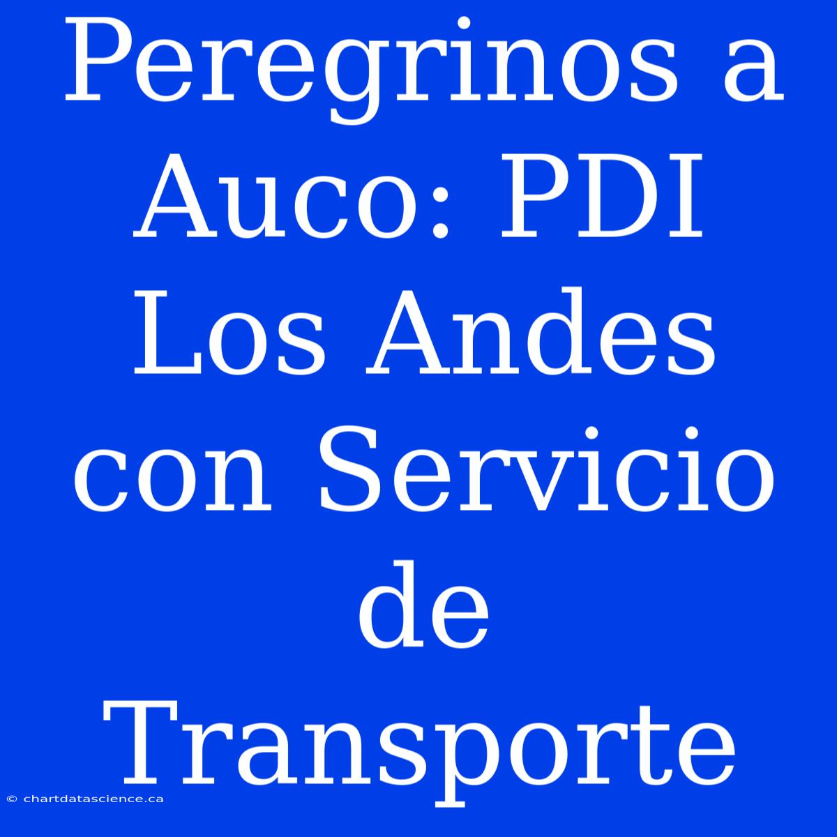 Peregrinos A Auco: PDI Los Andes Con Servicio De Transporte