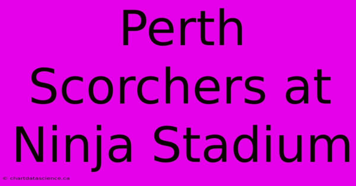 Perth Scorchers At Ninja Stadium