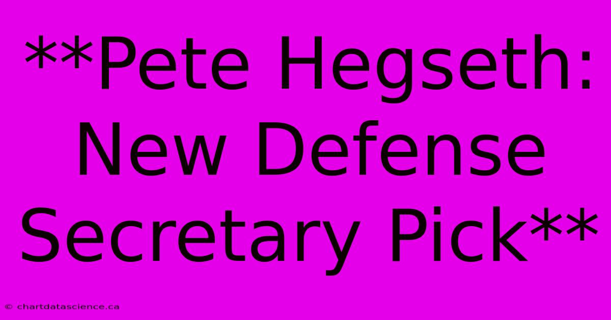 **Pete Hegseth: New Defense Secretary Pick**