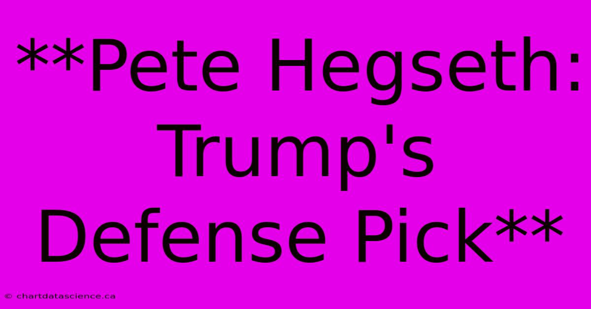 **Pete Hegseth: Trump's Defense Pick**