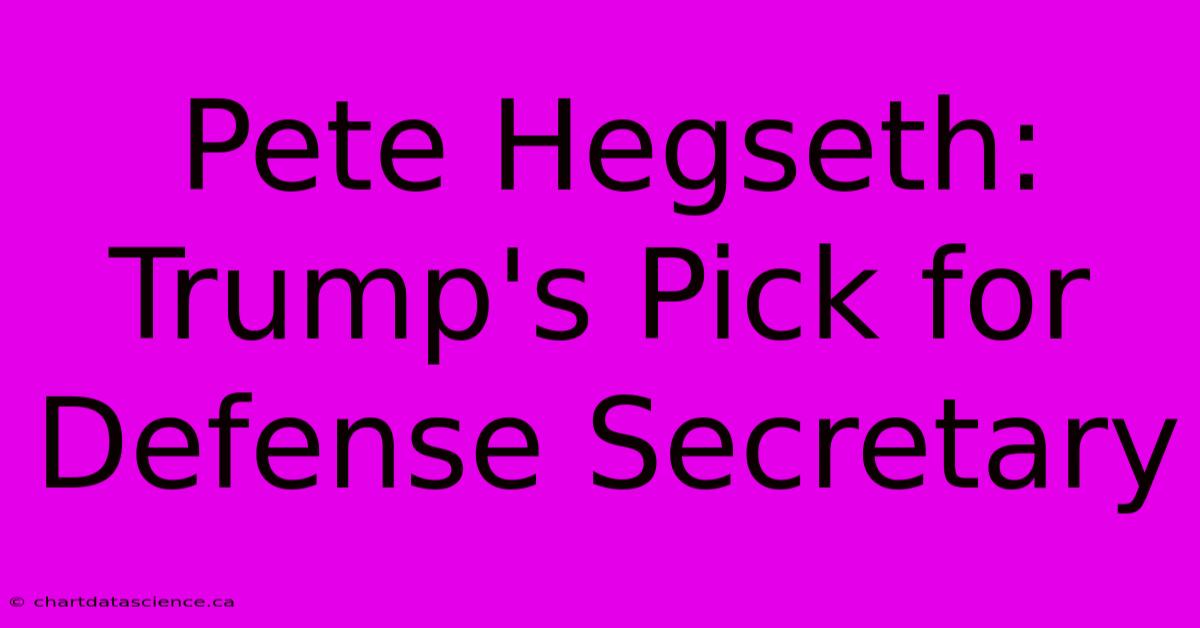 Pete Hegseth: Trump's Pick For Defense Secretary