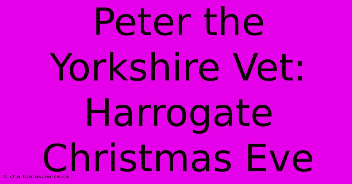 Peter The Yorkshire Vet: Harrogate Christmas Eve