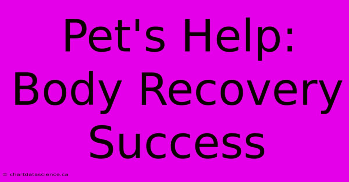 Pet's Help: Body Recovery Success