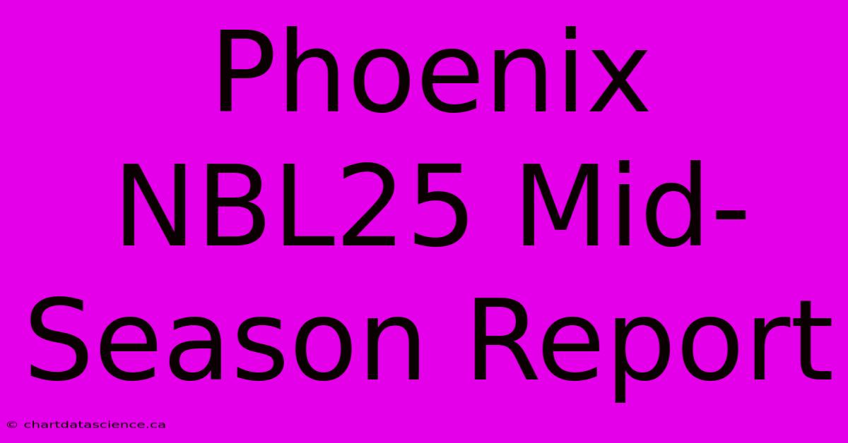 Phoenix NBL25 Mid-Season Report