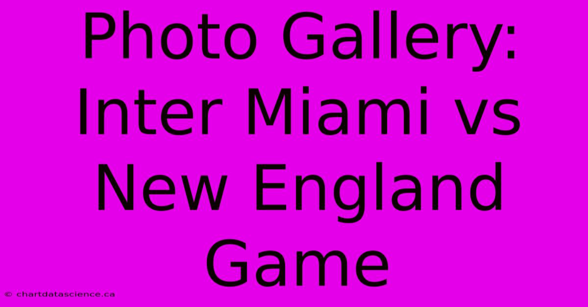 Photo Gallery: Inter Miami Vs New England Game 