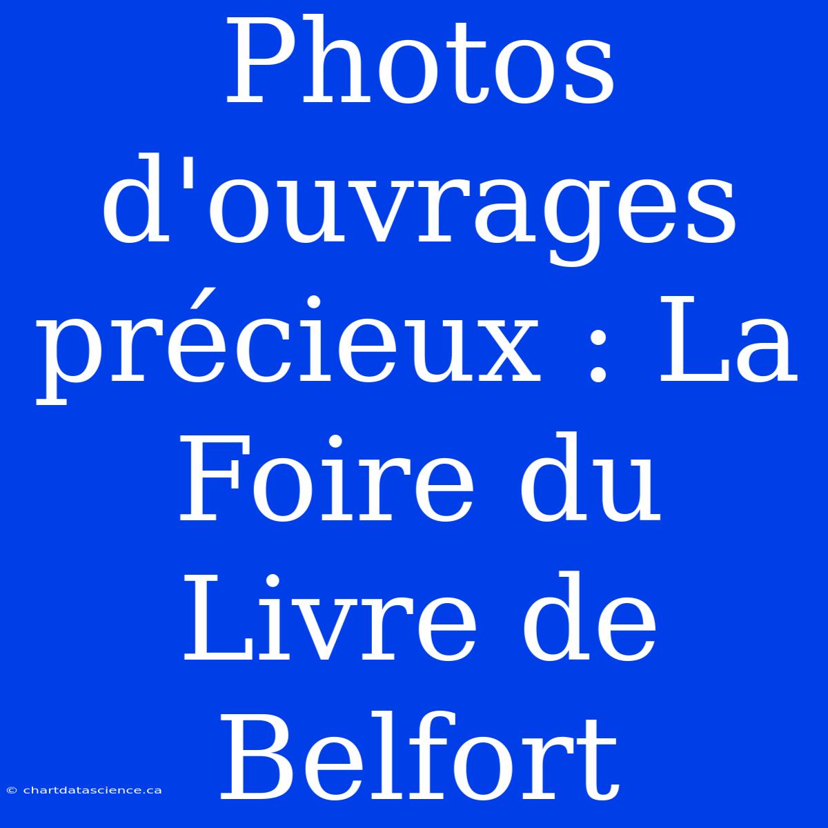 Photos D'ouvrages Précieux : La Foire Du Livre De Belfort