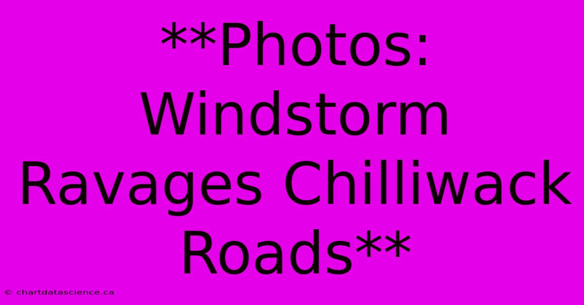 **Photos: Windstorm Ravages Chilliwack Roads**