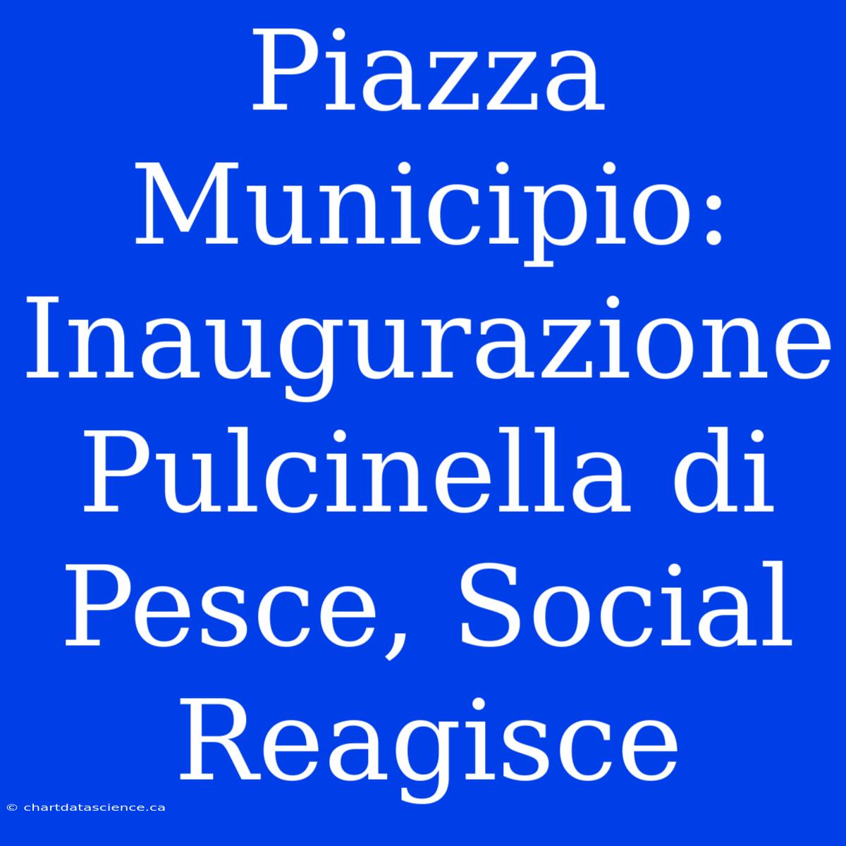 Piazza Municipio: Inaugurazione Pulcinella Di Pesce, Social Reagisce