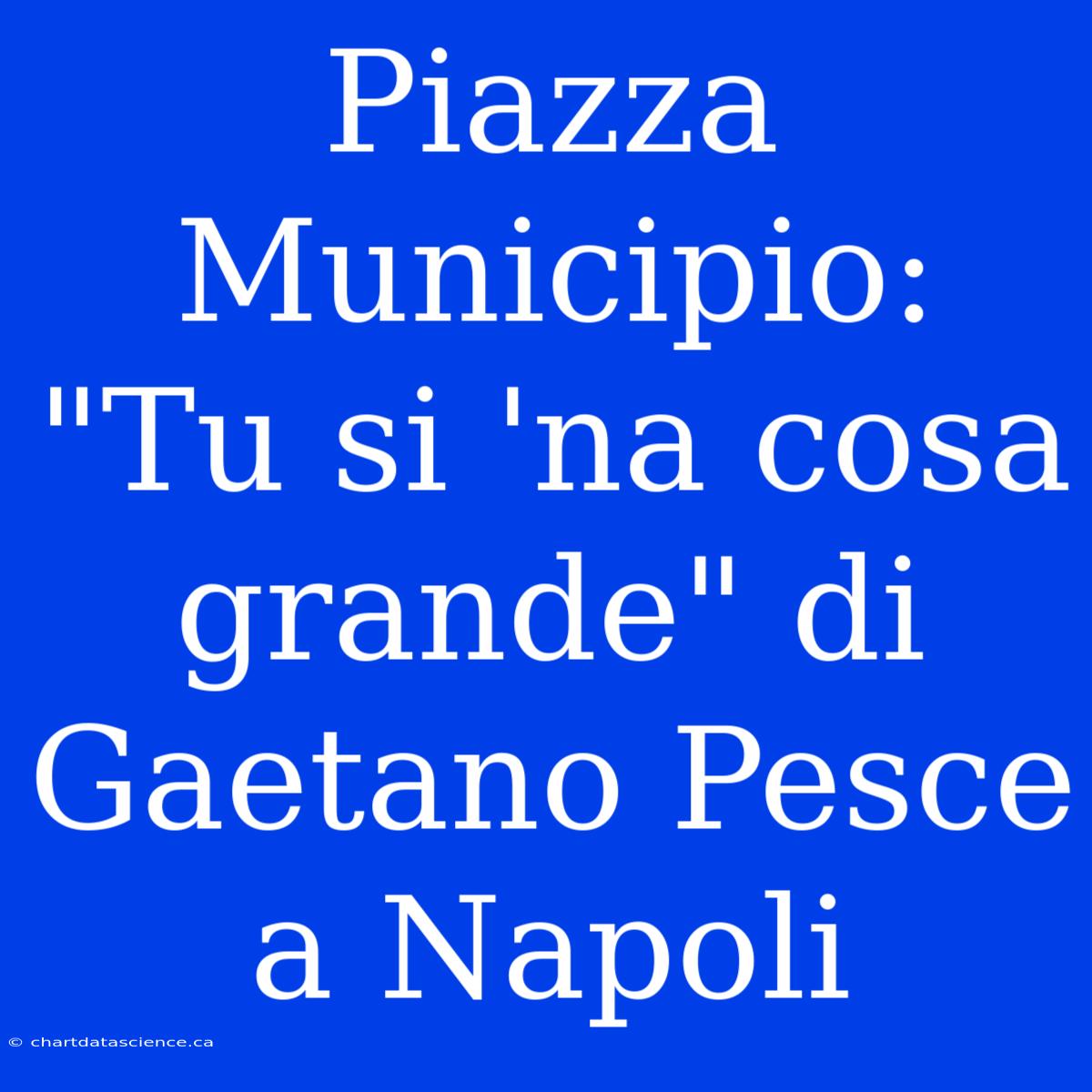 Piazza Municipio: 