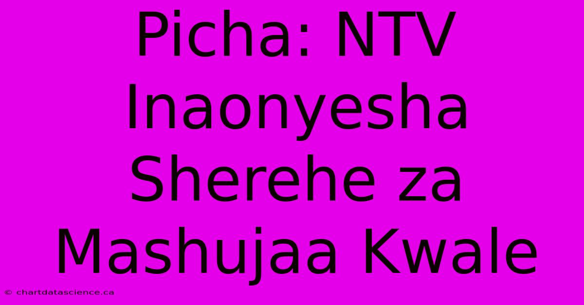 Picha: NTV Inaonyesha Sherehe Za Mashujaa Kwale