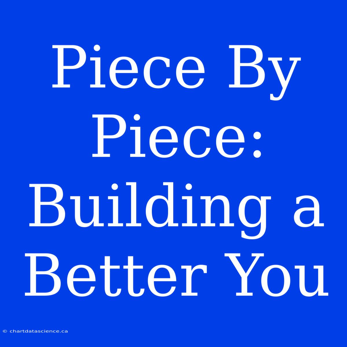 Piece By Piece:  Building A Better You