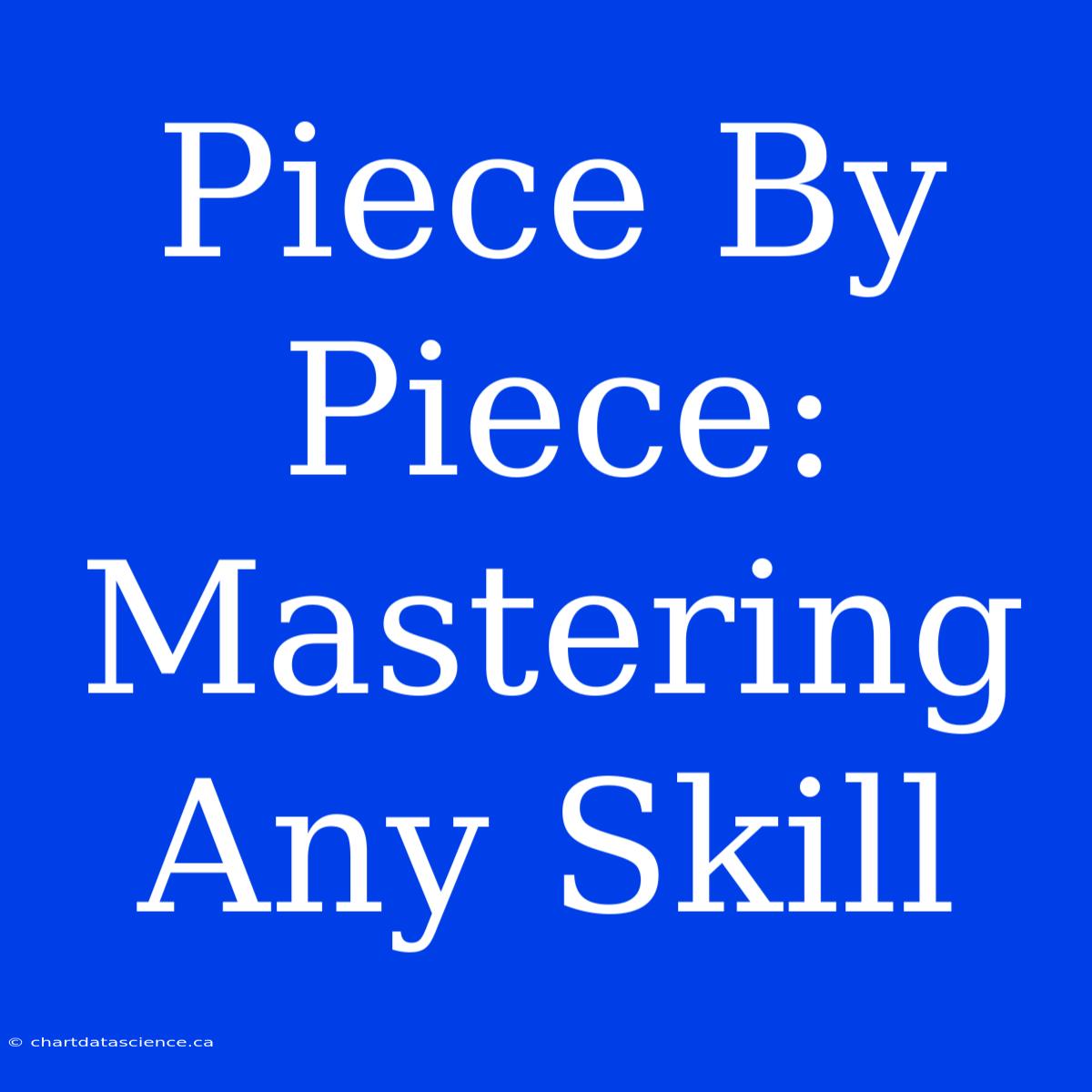 Piece By Piece: Mastering Any Skill