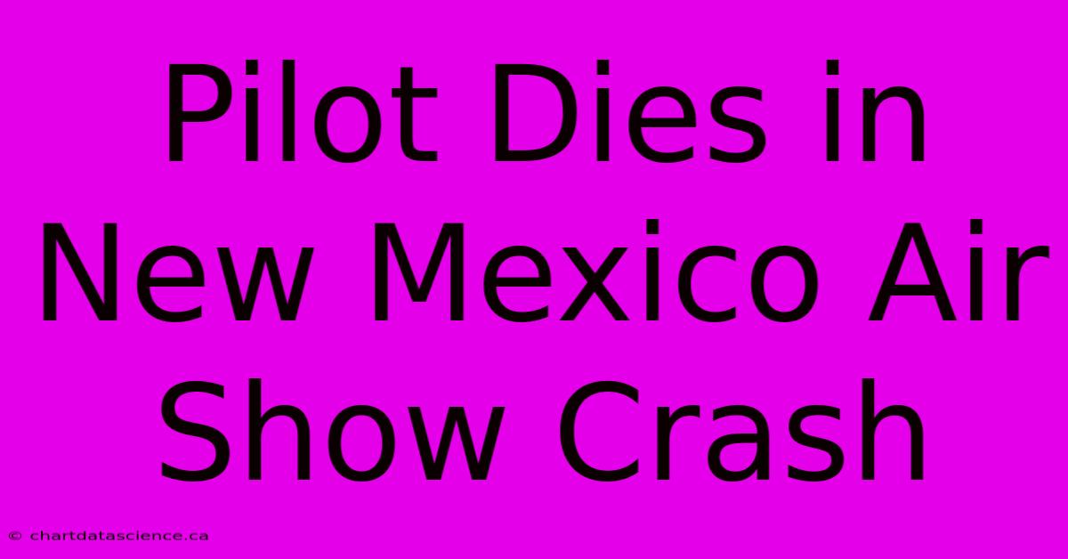 Pilot Dies In New Mexico Air Show Crash