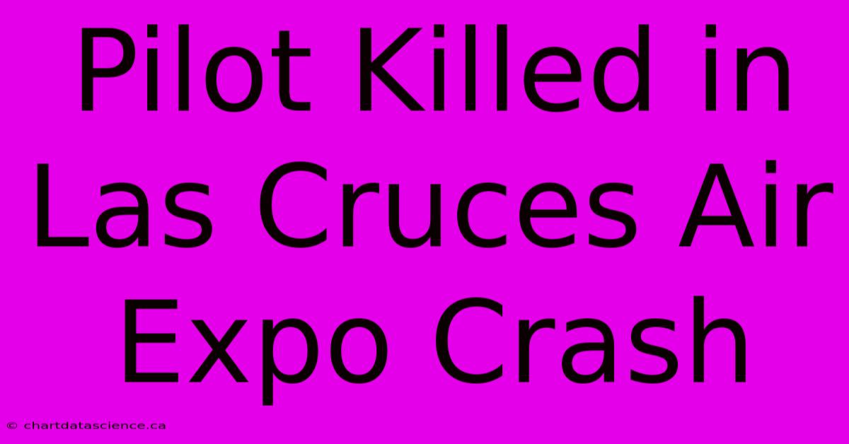 Pilot Killed In Las Cruces Air Expo Crash