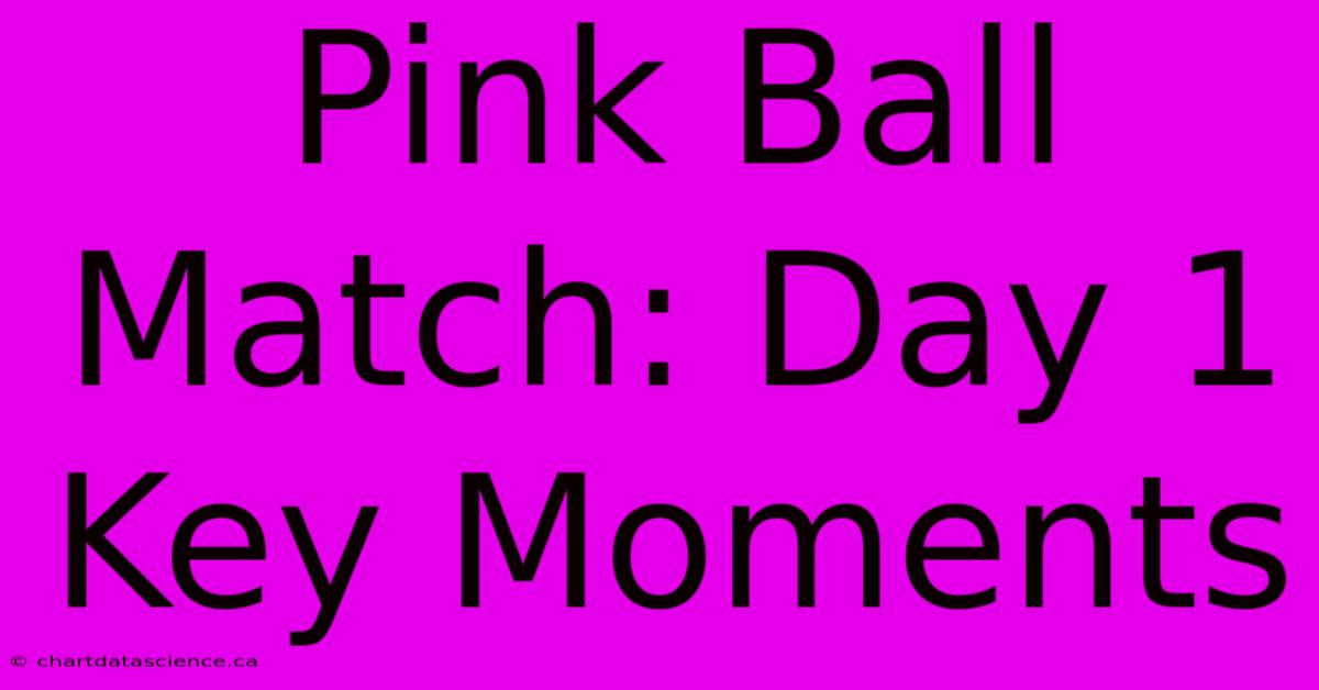 Pink Ball Match: Day 1 Key Moments