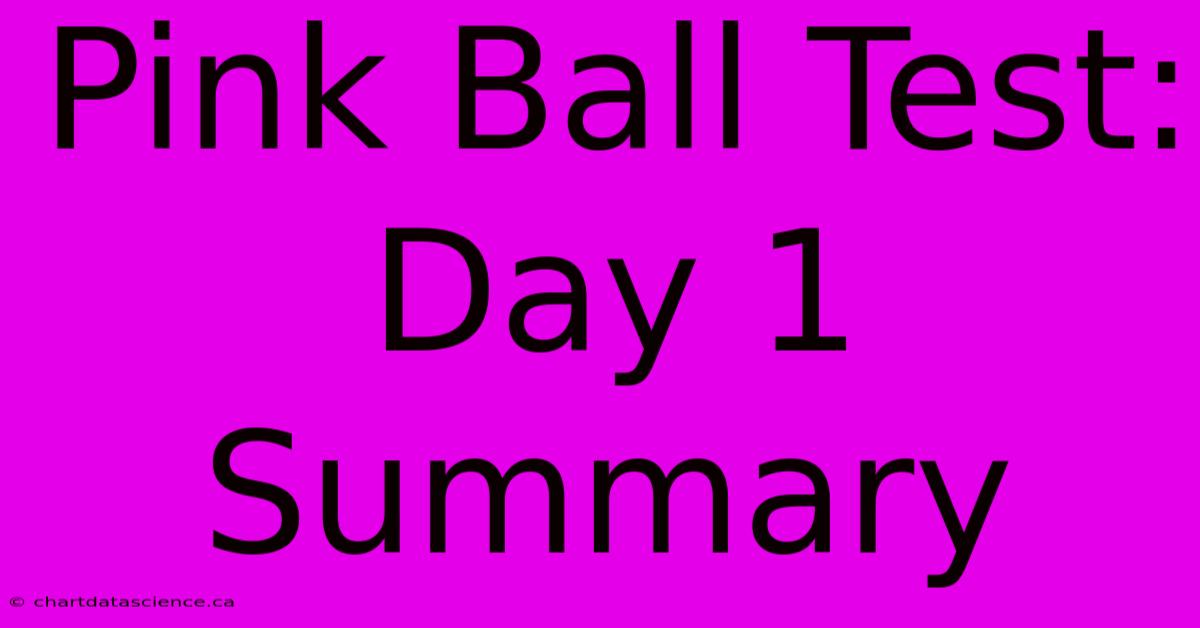 Pink Ball Test: Day 1 Summary