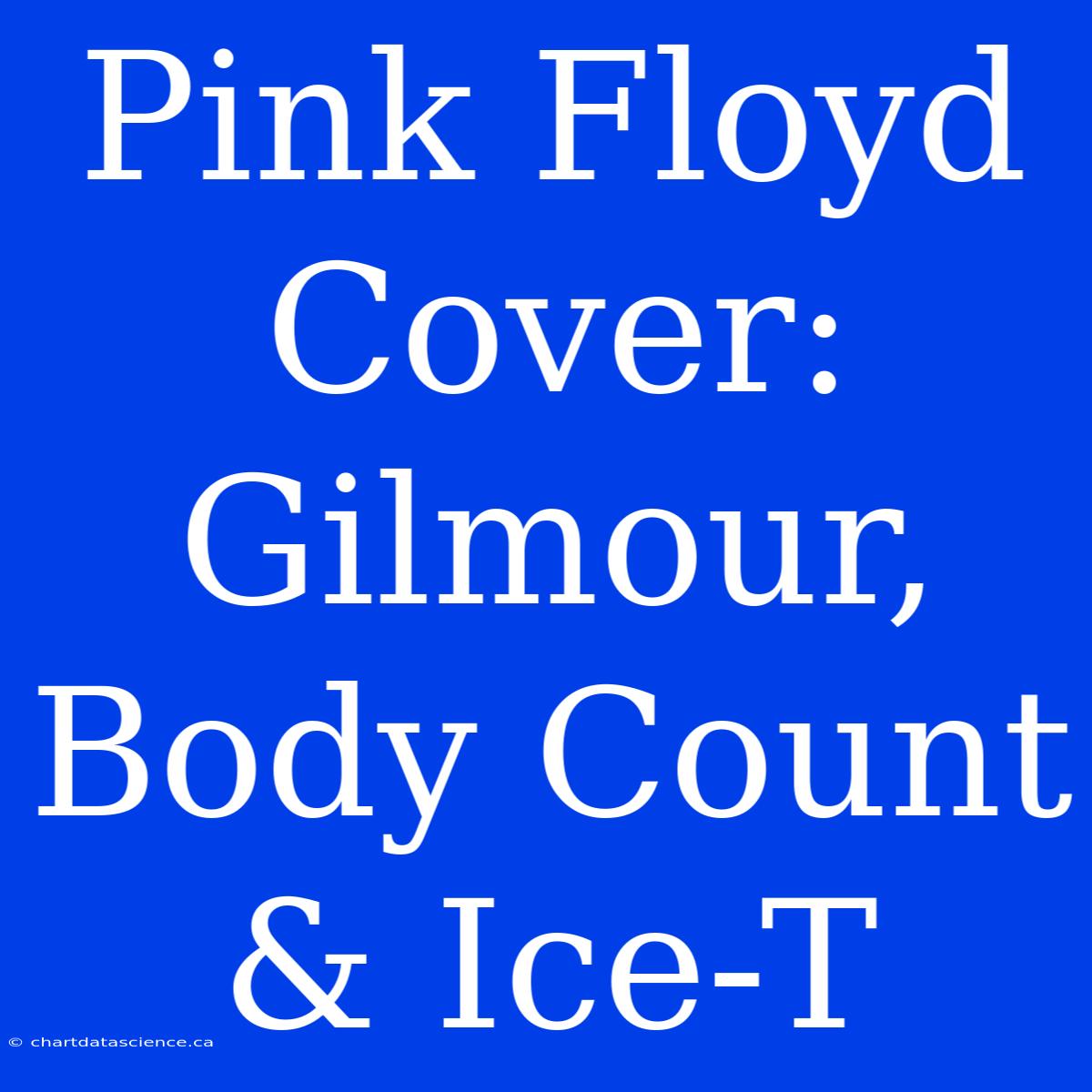 Pink Floyd Cover: Gilmour, Body Count & Ice-T