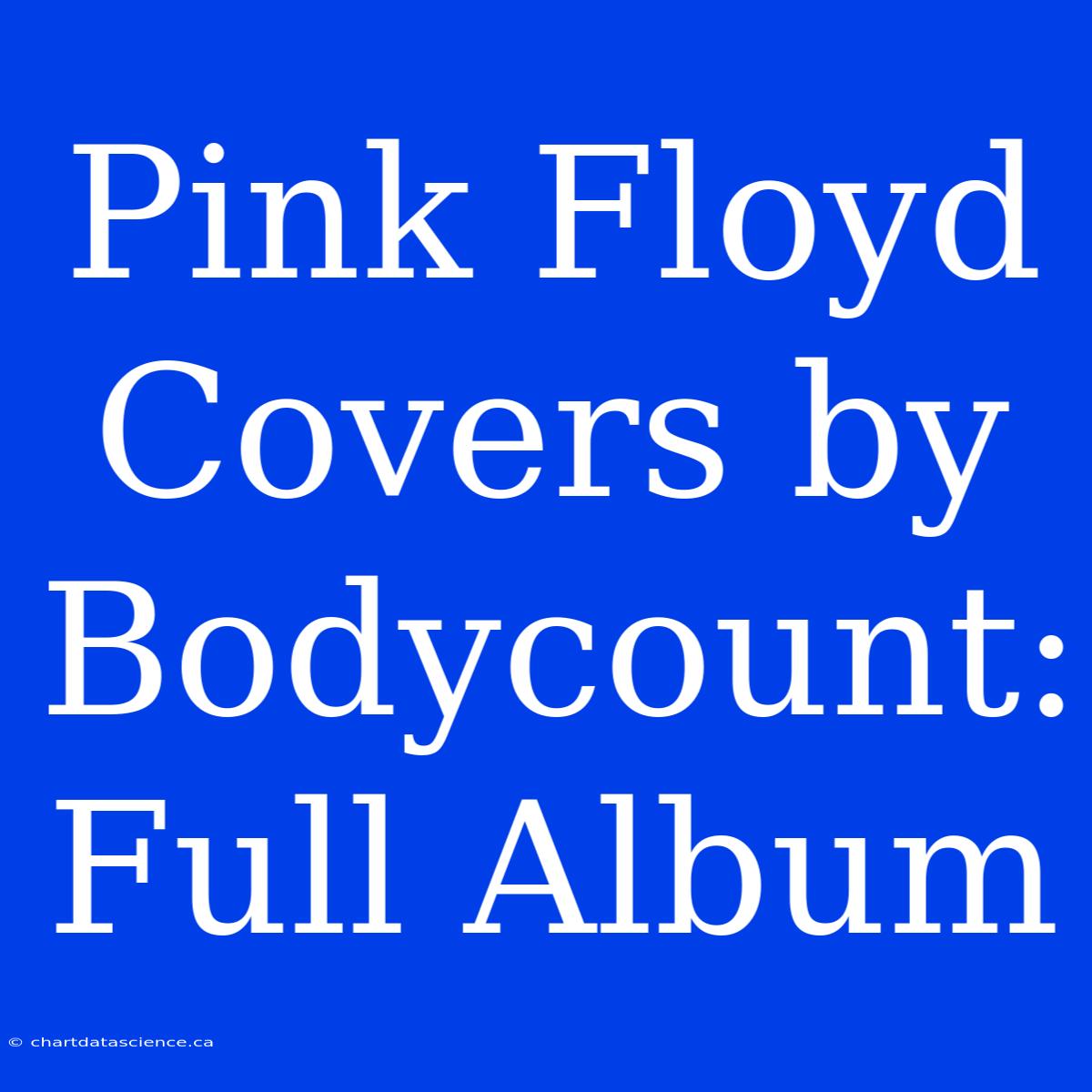 Pink Floyd Covers By Bodycount: Full Album