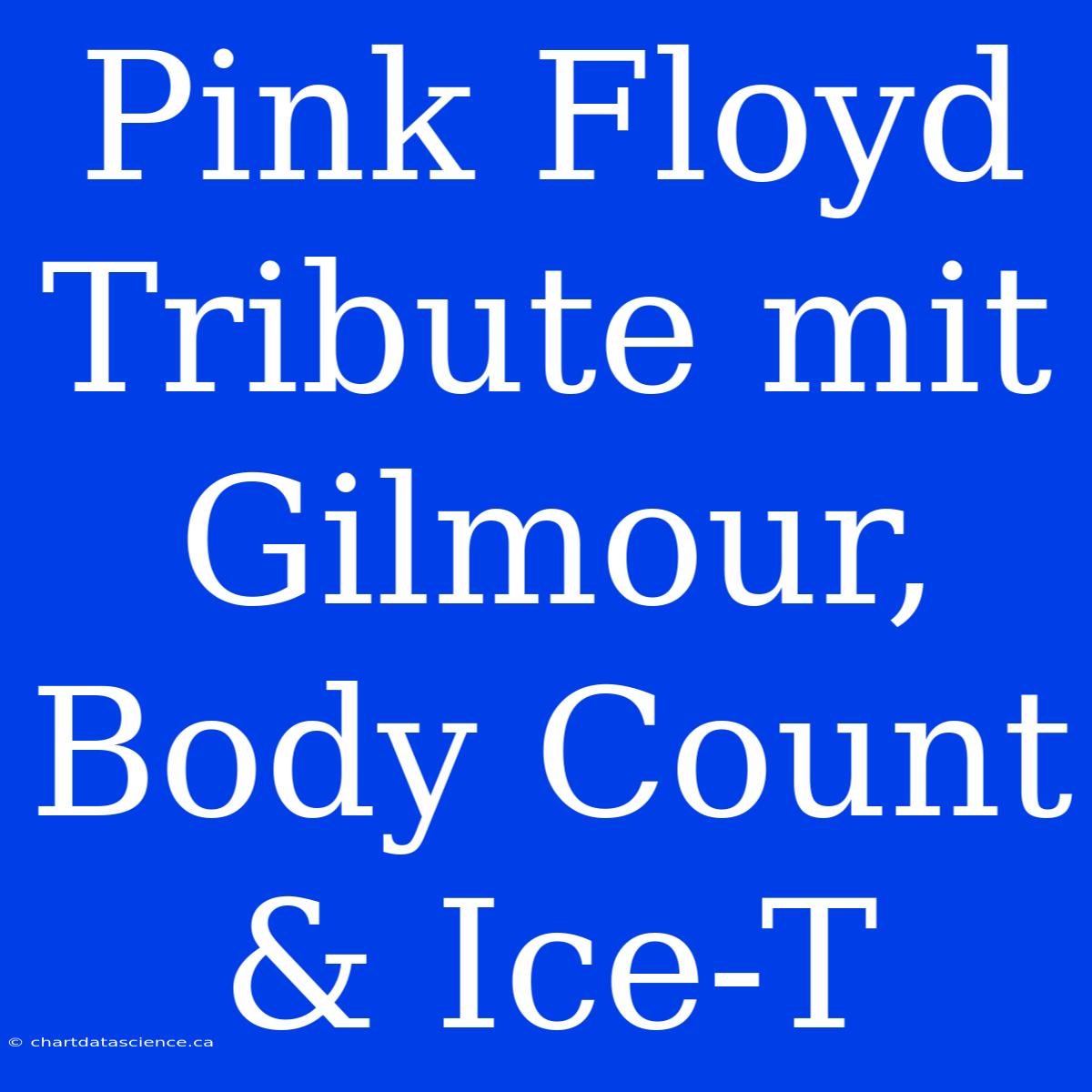 Pink Floyd Tribute Mit Gilmour, Body Count & Ice-T