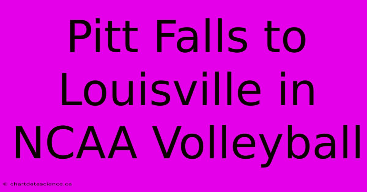 Pitt Falls To Louisville In NCAA Volleyball