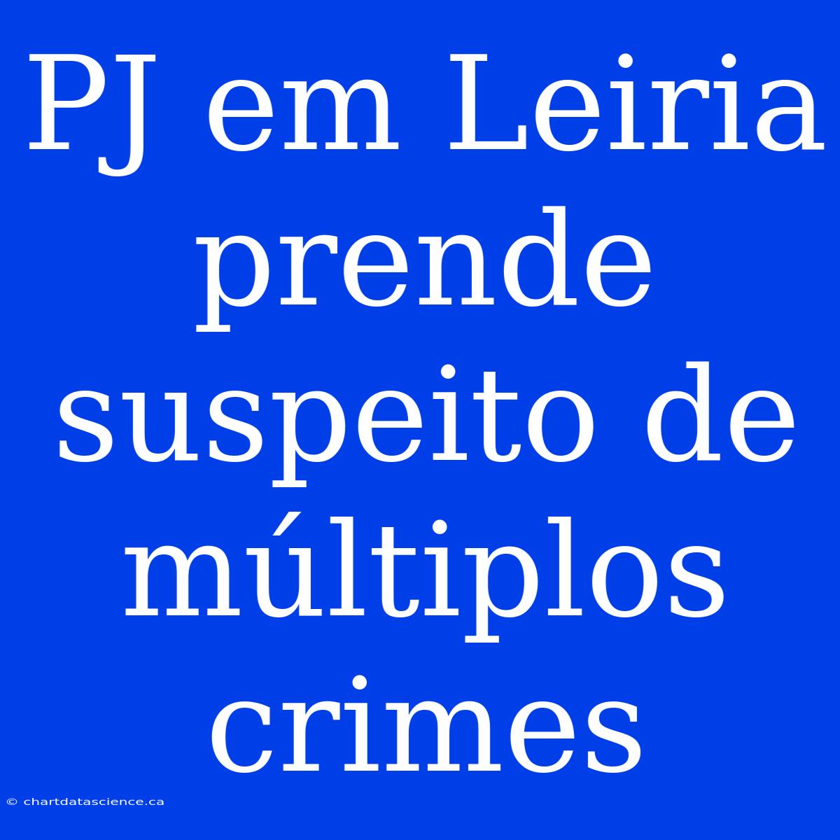 PJ Em Leiria Prende Suspeito De Múltiplos Crimes