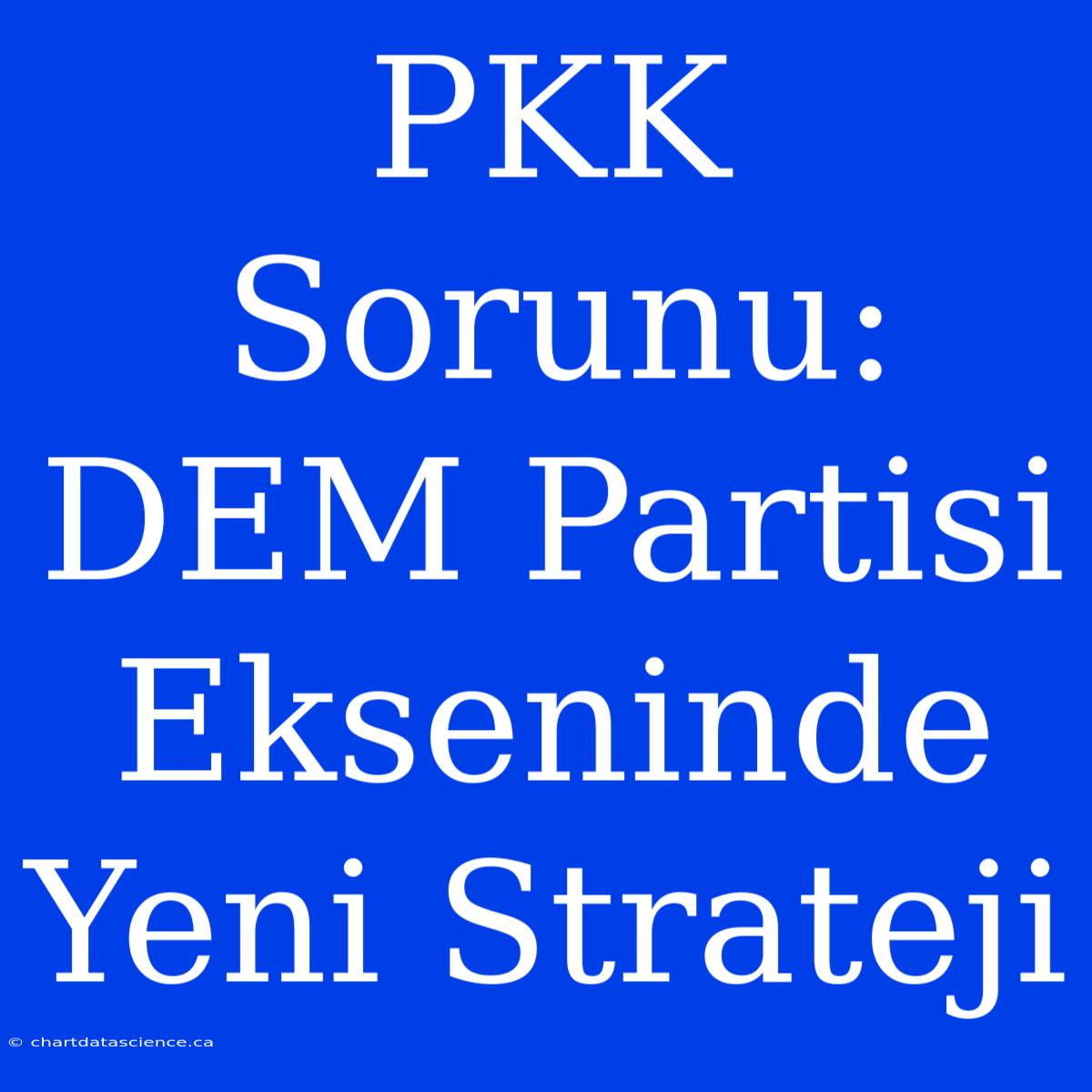 PKK Sorunu: DEM Partisi Ekseninde Yeni Strateji