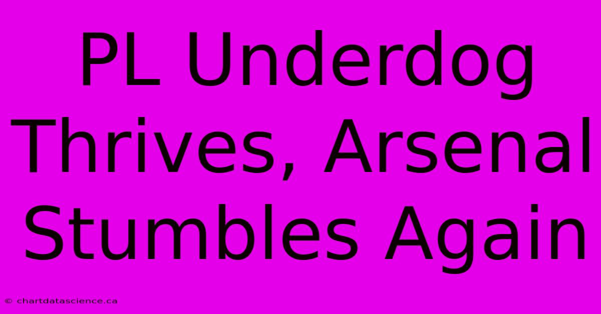 PL Underdog Thrives, Arsenal Stumbles Again 