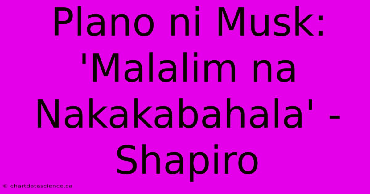 Plano Ni Musk: 'Malalim Na Nakakabahala' - Shapiro 