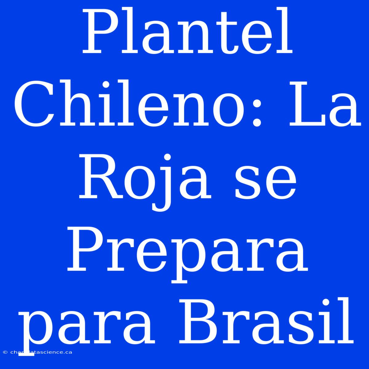 Plantel Chileno: La Roja Se Prepara Para Brasil