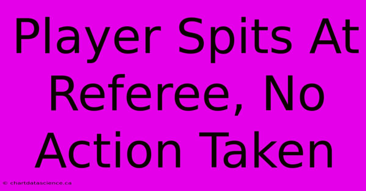 Player Spits At Referee, No Action Taken 