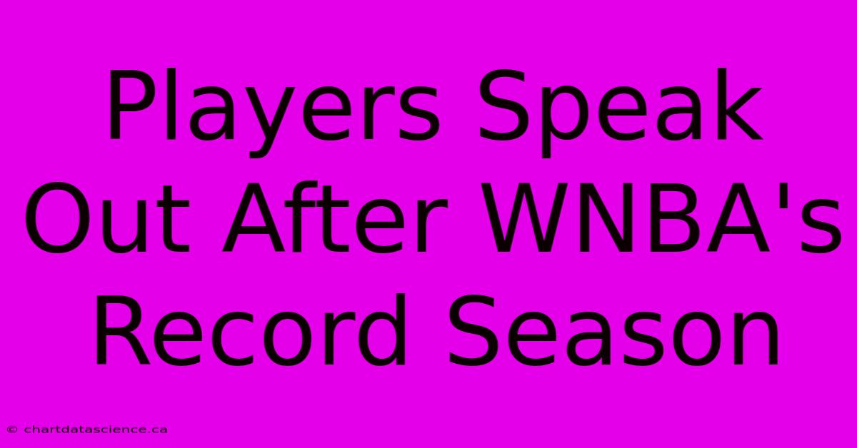 Players Speak Out After WNBA's Record Season